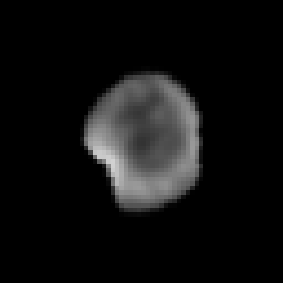 Real crop: Prostate myeloid